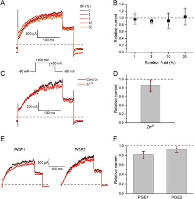 The sperm-specific K+ channel Slo3 is inhibited by albumin and steroids contained in reproductive fluids